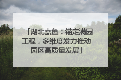 湖北嘉鱼：锚定满园工程，多维度发力推动园区高质量发展